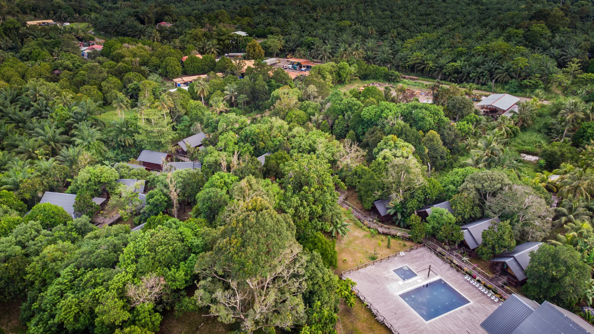 view of 2 chalet at borneo sepilok rainforest resort