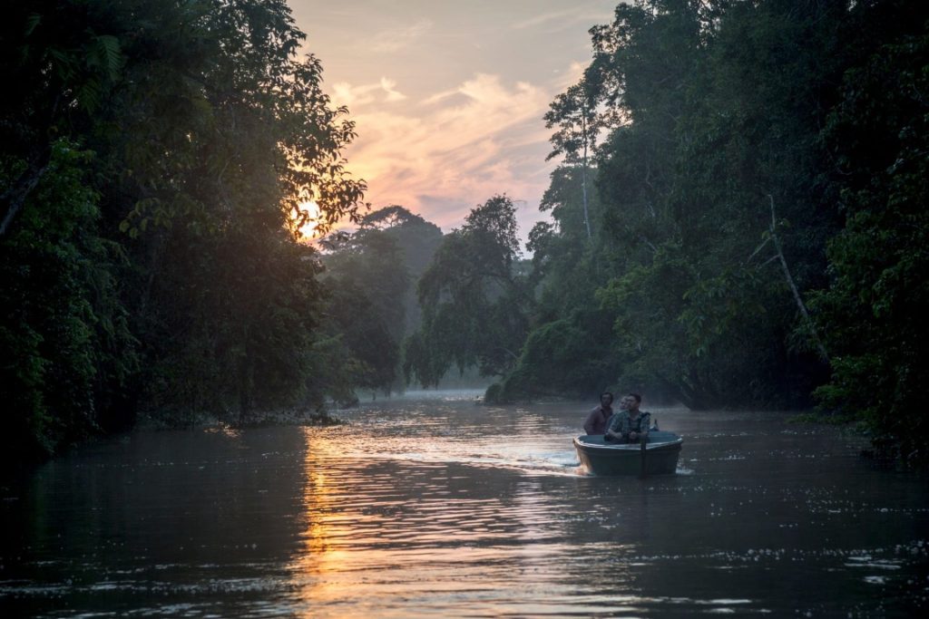 Evening river cruise through mangroves in Sabah