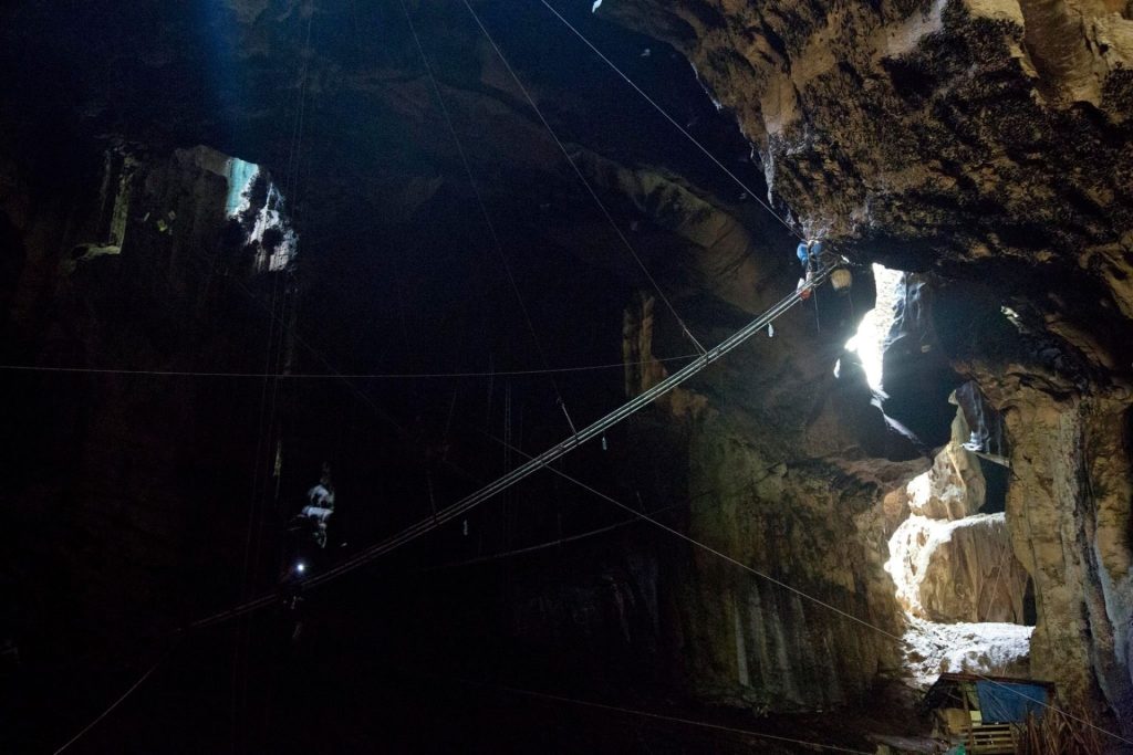 Bird nest area inside Gomantong Cave