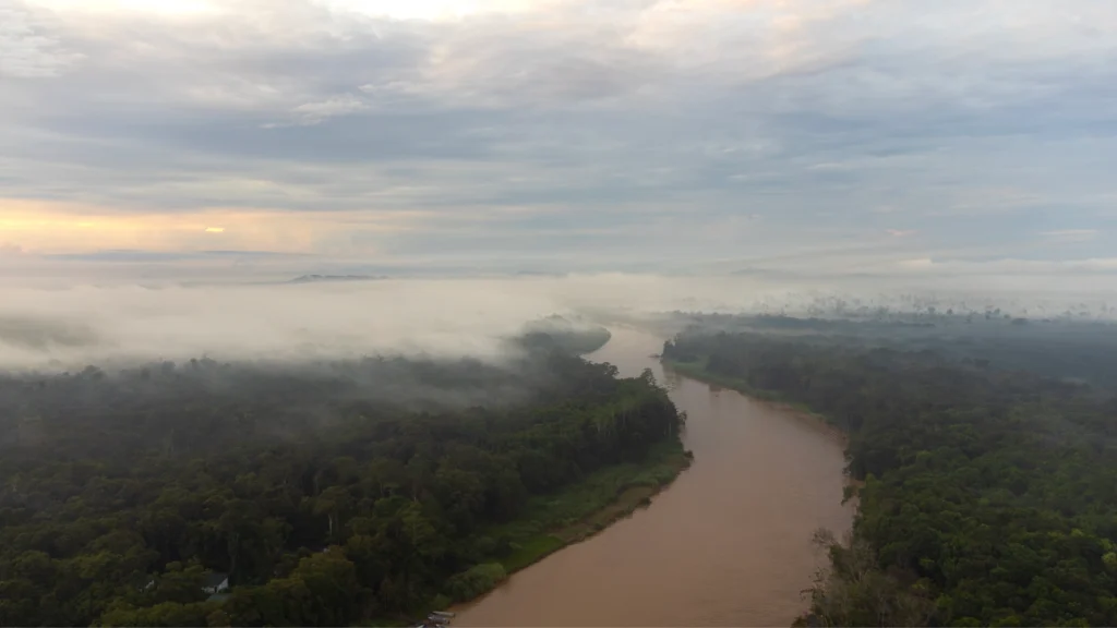 Aerial view of the Kinabatangan River in Sabah