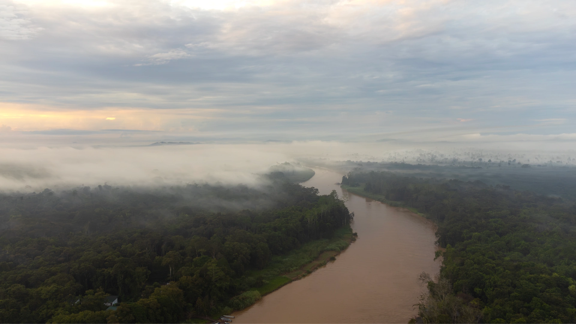 Aerial view of the Kinabatangan River in Sabah